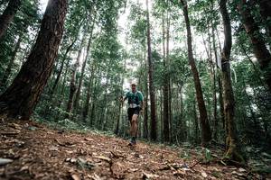 BIB: 
                            <button type="button" onclick="openModal(25261411)" class="btn btn-primary btn-sm float-right btn-popup" data-toggle="modal" data-target=".modal-high-quality">
                        <i class="fas fa-shopping-cart"></i> Add to Cart
                    </button>
                                            <button type="button" onclick="isThisMe(25261411, true)" class="btn btn-success btn-sm float-right btn-popup btn-isme hidden" data-toggle="tooltip" data-placement="bottom" title="นี่คือรูปของคุณใช่ไหม คลิกที่นี่เพื่อเอาเข้าอัลบั้ม">
                        <i class="fas fa-plus"></i> Add to album
                    </button>
                    <button type="button" onclick="isThisMe(25261411, false)" class="btn btn-warning btn-sm float-right btn-popup btn-isnotme hidden">
                        <i class="fas fa-ban"></i> Remove from album
                    </button>